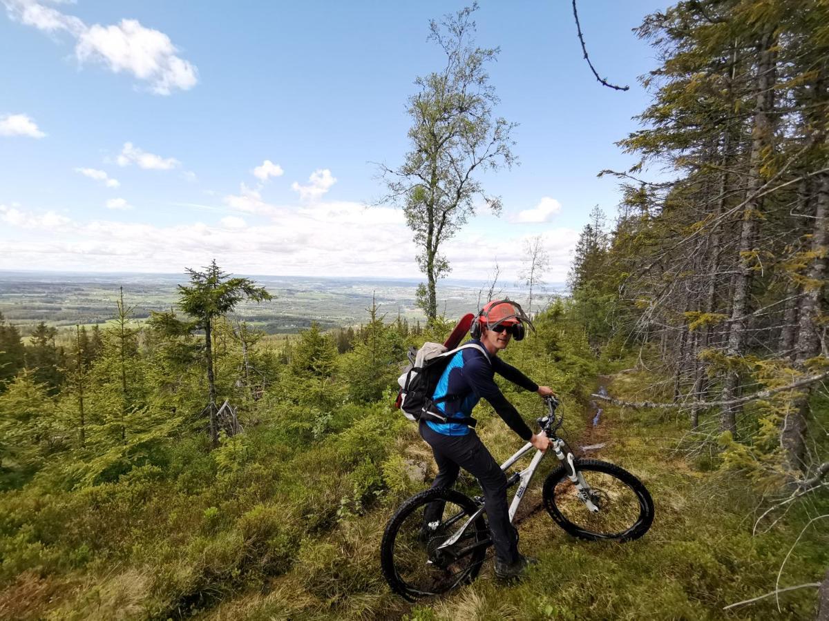 Idylliske Evjua Ved Mjosa Hotel Skreia Luaran gambar