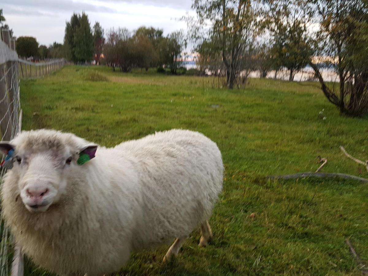 Idylliske Evjua Ved Mjosa Hotel Skreia Luaran gambar