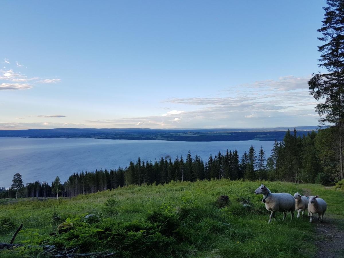 Idylliske Evjua Ved Mjosa Hotel Skreia Luaran gambar